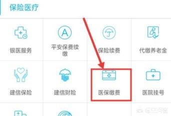 农村医保网上如何缴费,怎么在网上给农村合作医疗缴费？