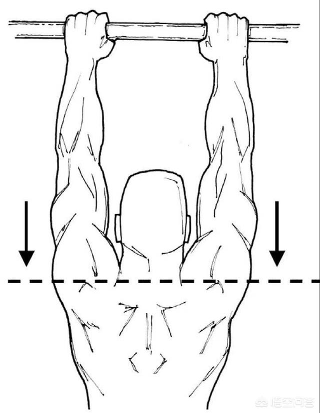 引体向上的好处,做引体向上对身体有什么好处？