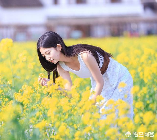 油菜花是什么颜色,油菜花拍人物照穿什么颜色好看？