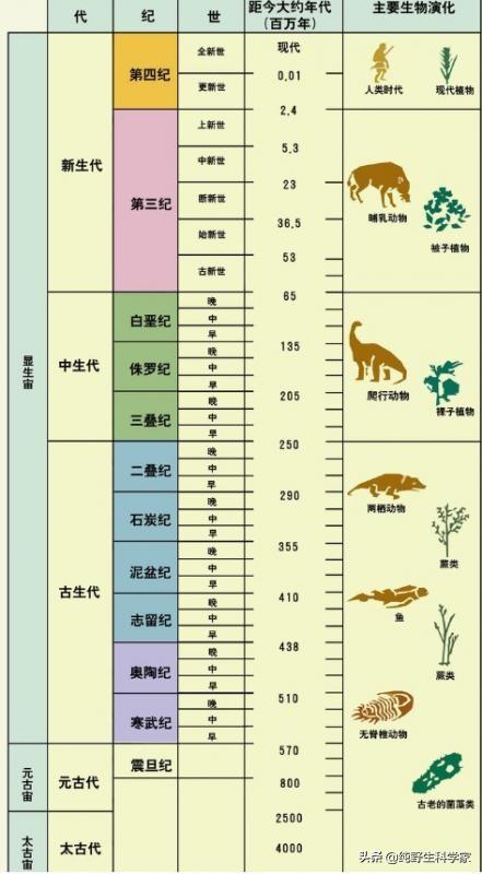 鲨鱼怎么折,数亿年前，海洋霸主是谁？