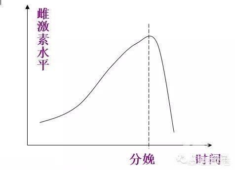 如何补充雌激素,女人如何补充雌激素比较好？