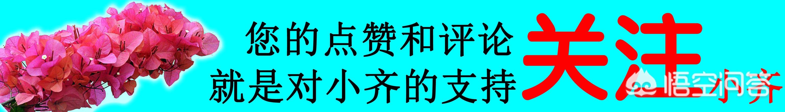 蟹爪兰的养殖方法和注意事项,蟹爪兰能晒太阳吗？怎么养护？