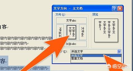 文字竖排怎么设置,怎么设置Word文字竖向？