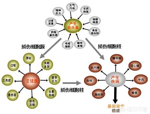 吃樱桃有什么好处,樱桃的功效与作用有哪些？