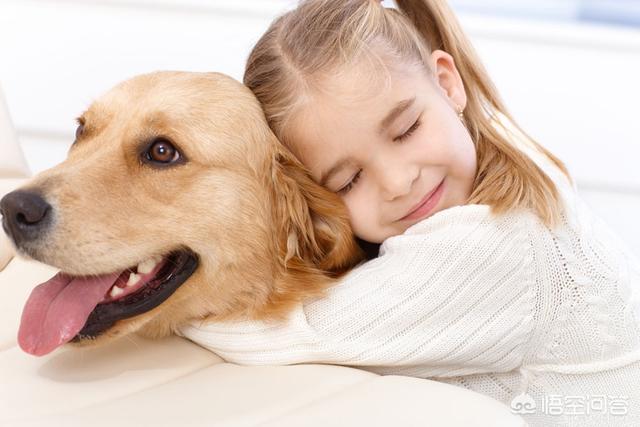 怎样看出幼犬认主人了,如何鉴定一只狗狗有没有白养？