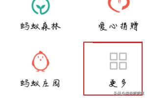 查驾驶证信息,怎么查询驾照的基本信息？