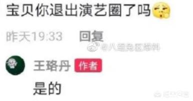 王路丹,王珞丹在娱乐圈发展现状如何？