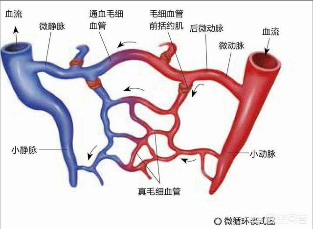 不通,中国古代如何解决语言不通问题？