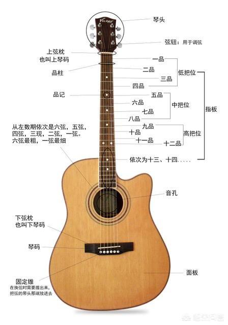 吉他初学者应该买什么样的吉他,吉他初学者买什么牌子的吉他好？