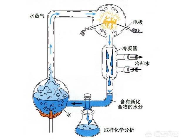 世界上第一个,世界上第一个人名叫什么？