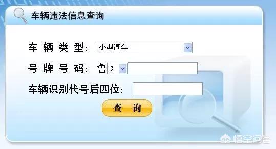 违章一般多少天可以查到,开车违章后多久能在网上查到呢？