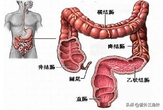 结肠癌的症状,结肠癌骨转移都会出现哪些症状？