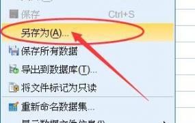 sav文件,spss如何保存sav格式？