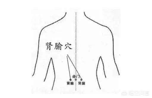 肾的穴位,日常如何通过食疗和穴位养肾？