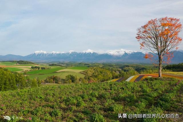 九月旅游最佳去处,9月份去国外哪里适合旅游？