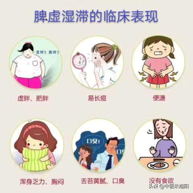 纳差是什么意思啊,脾虚湿滞，腹满便溏什么意思？