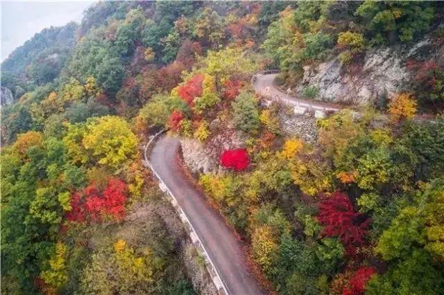 十月份去哪旅游,10月份最适合去哪里旅游？