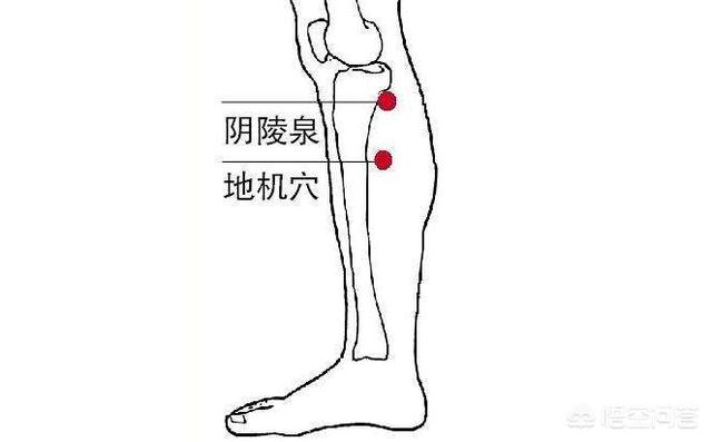 头部按摩手法步骤图解,有什么按摩方法能缓解头痛？