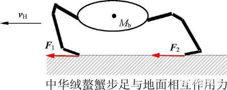 豆蟹,就问一句：大闸蟹为啥那么香？