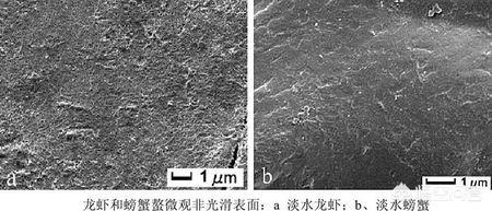 豆蟹,就问一句：大闸蟹为啥那么香？