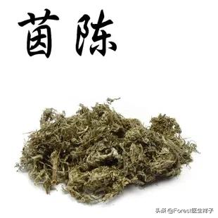 陈皮配什么喝去湿气,脾虚、湿气重，用什么泡水喝好？