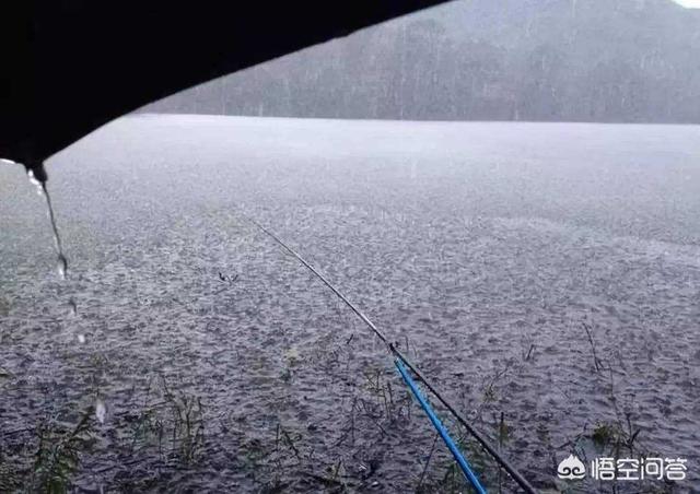 雨天钓鱼,野外钓鱼下雨天更好钓吗？