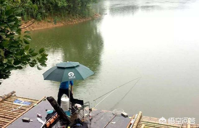 雨天钓鱼,野外钓鱼下雨天更好钓吗？