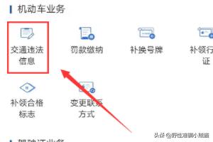 如何查询车辆信息,如何通过车架号看车辆的信息？