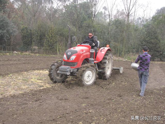 葡萄种植方法,葡萄苗怎么种植成活率高？