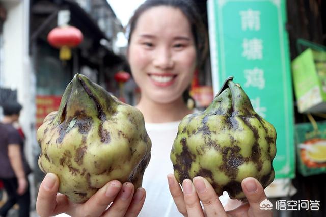 芡实是什么,芡实是什么植物？如何种植它？