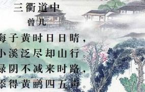 三衢道中,三衢道中的诗意是什么20字？