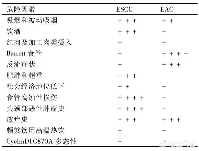 喝热水,为什么喝热水身体会出汗？