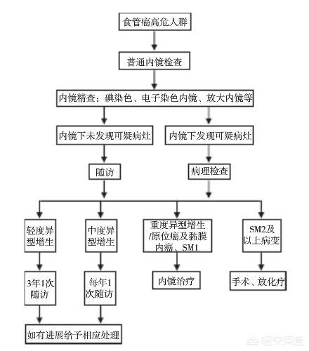 喝热水,为什么喝热水身体会出汗？