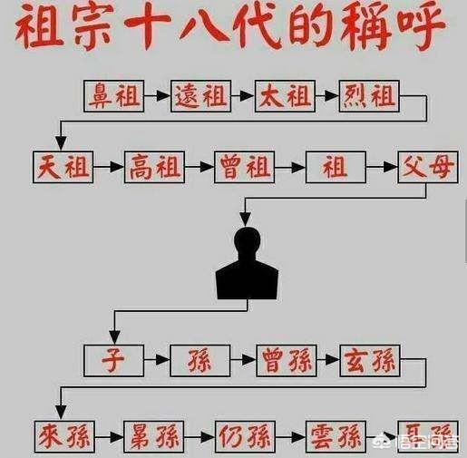 武则天和杨贵妃的关系,武则天和杨贵妃是什么关系？