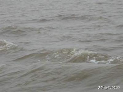 长江后浪推前浪,长江后浪推前浪，下一句是？