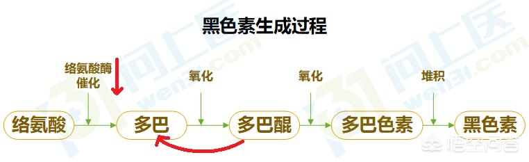 为什么皮肤上有白斑,皮肤出现白斑是什么原因导致的？