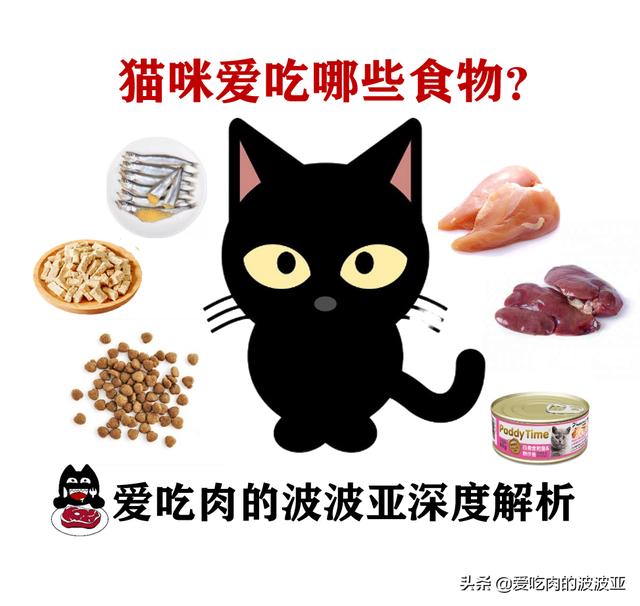 猫喜欢什么,哪些食物是猫咪最爱吃的？