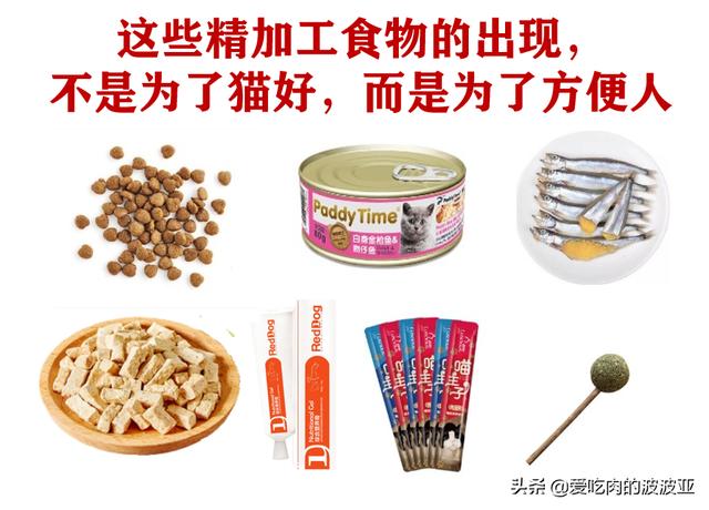 猫喜欢什么,哪些食物是猫咪最爱吃的？