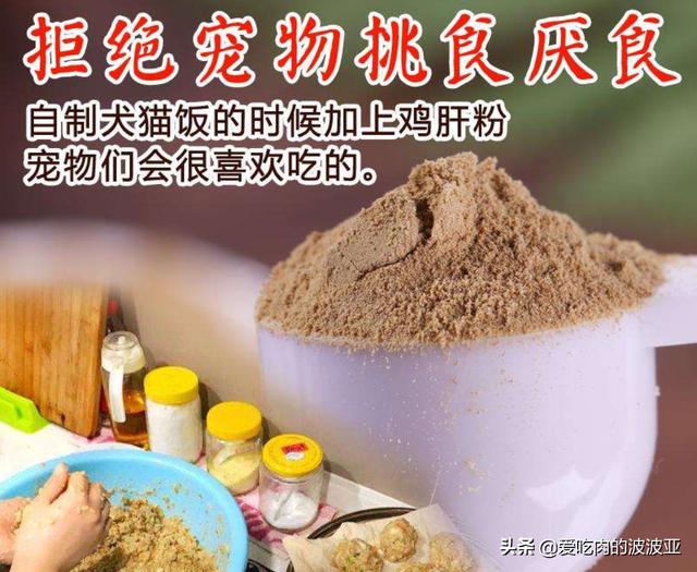 猫喜欢什么,哪些食物是猫咪最爱吃的？