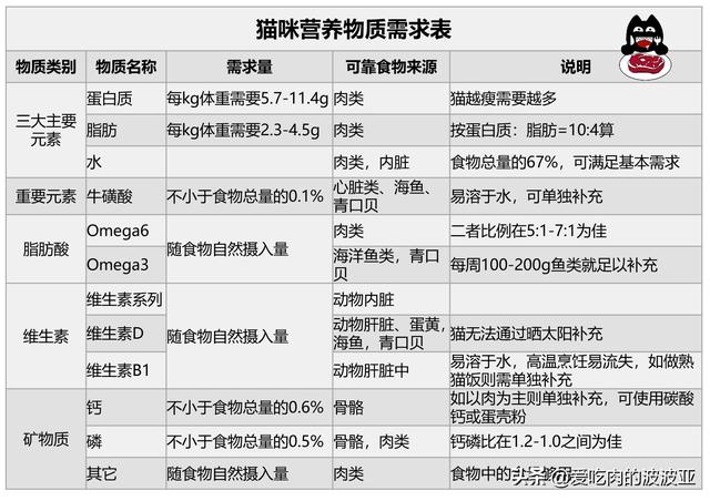 猫喜欢什么,哪些食物是猫咪最爱吃的？