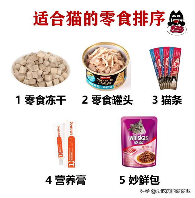 猫喜欢什么,哪些食物是猫咪最爱吃的？