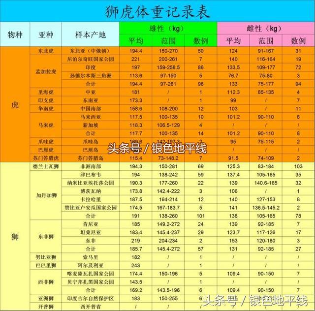 大狮子,老虎的体型能比狮子大多少呢？