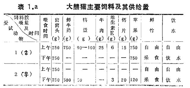 大熊猫的生活环境,全球的大熊猫都是属于中国的吗？