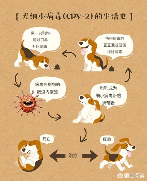 狗病,狗生病了吃什么药好得快？