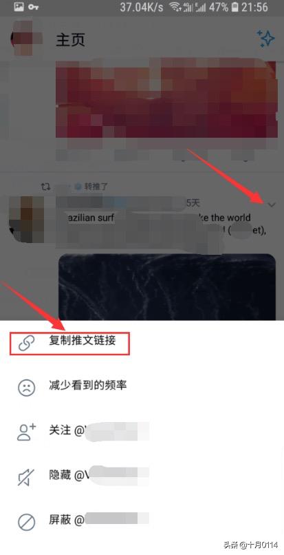 推特怎么看,twitter怎么保存视频？