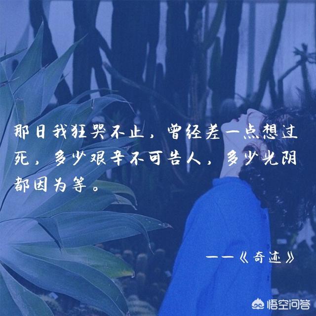 我为你翻山越岭歌词,你认为林夕最美的歌词是什么？