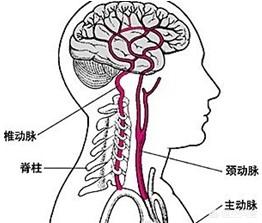 头昏怎么办最快最有效,有什么方法可以缓解头晕？