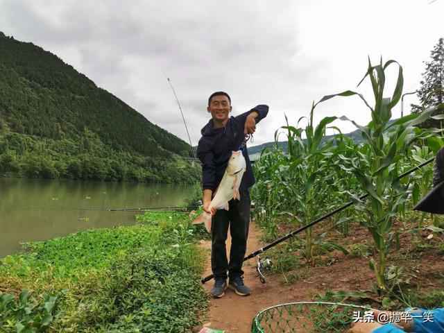 钓鲢鳙用什么饵料最好,钓鲢鳙用什么饵料比较好？