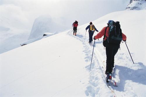 滑雪运动,登山滑雪是一种怎样的运动？