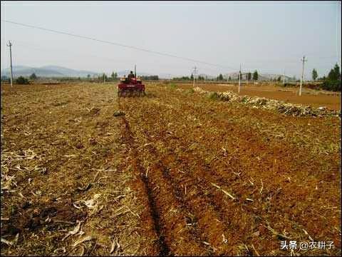 小麦种植,小麦种植前，需要深耕土壤吗？